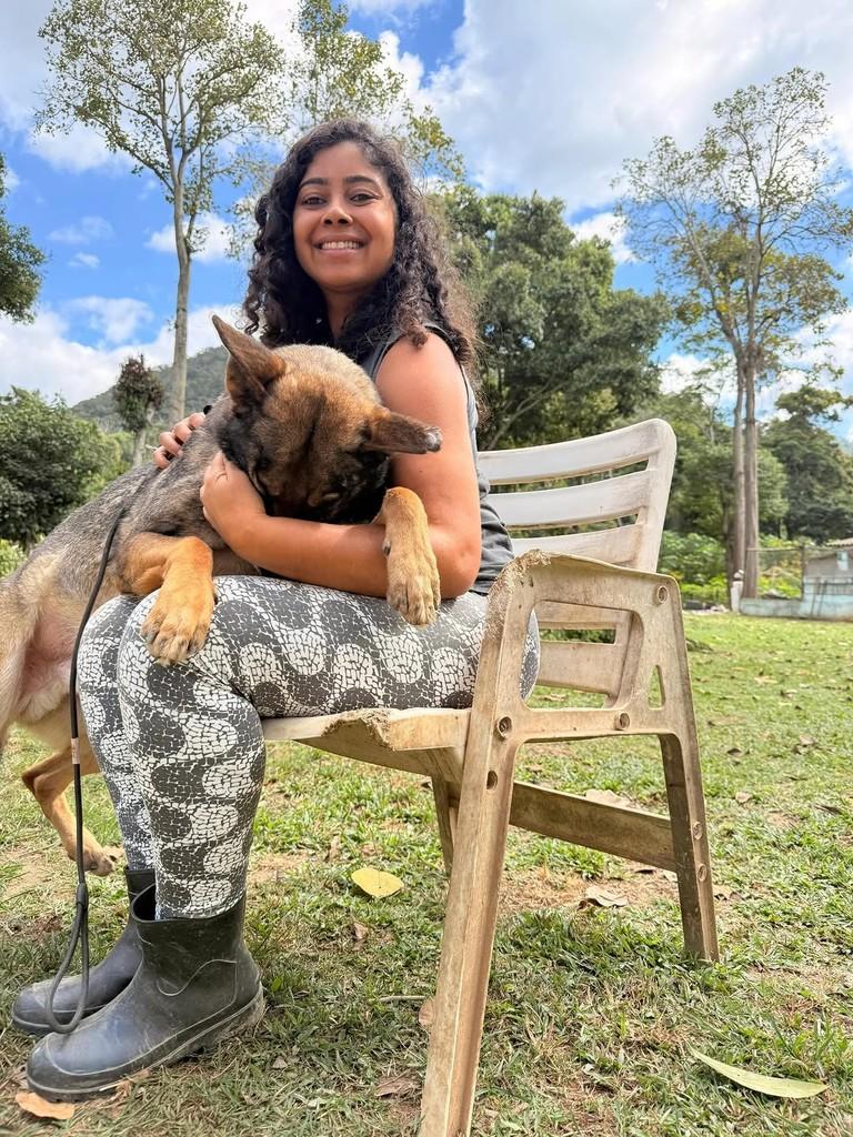 Nero, cachorro de porte grande para adoção em Petrópolis - RJ