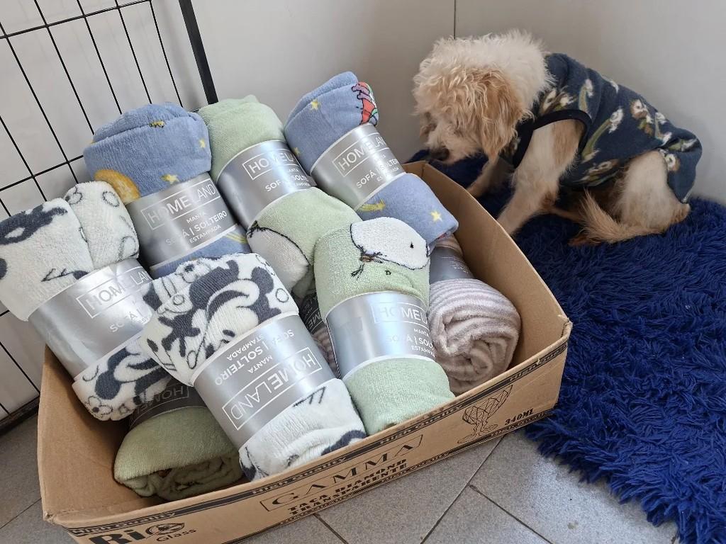 Natalina, cachorro de porte pequeno para adoção em Descalvado - SP