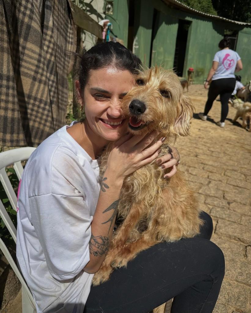 Fiapo, cadela de porte pequeno para adoção em São Paulo - SP