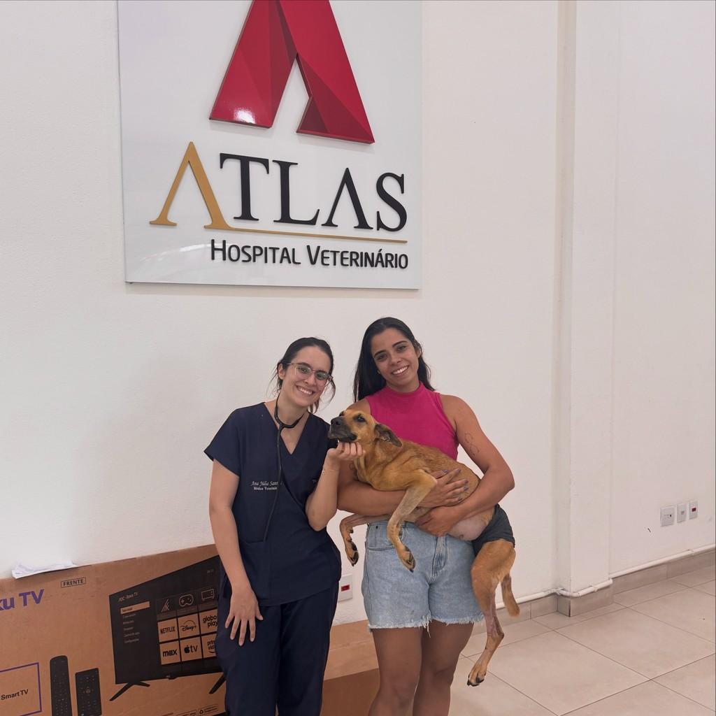 Mel, cachorro de porte pequeno para adoção em Viçosa - MG