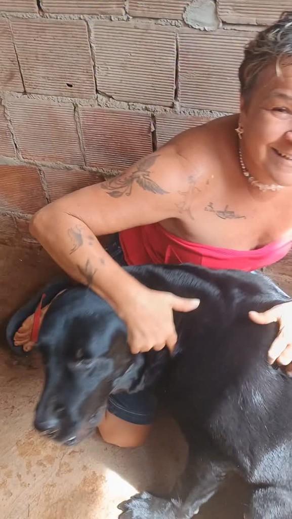 Negao, cachorro de porte grande para adoção em Igarassu - PE