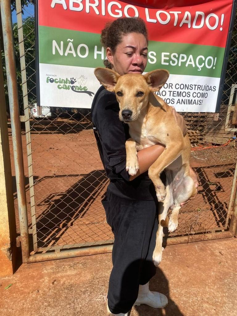 Cachorrinha, cadela de porte médio para adoção em Bariri - SP