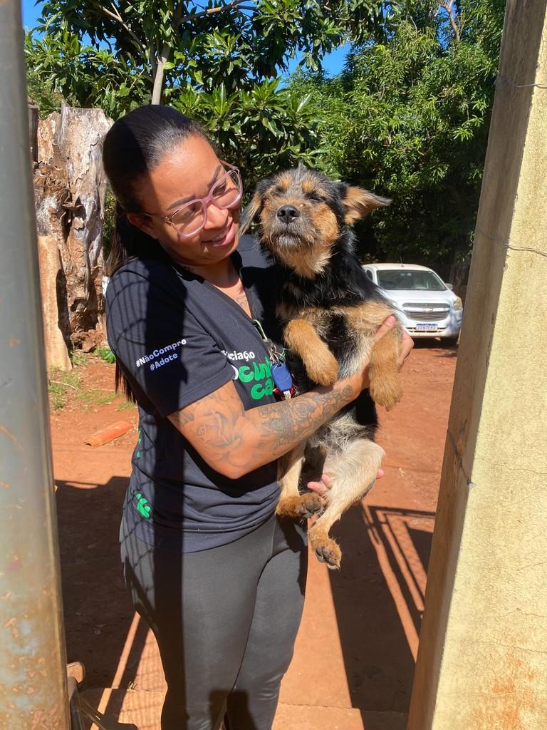 Mocinha, cadela de porte pequeno para adoção em Bariri - SP