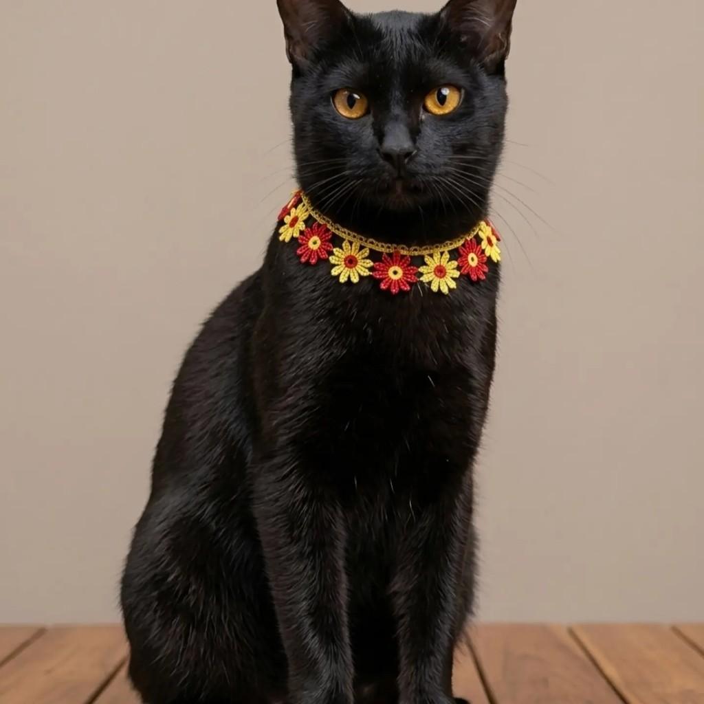 Zoe, gata de porte pequeno para adoção em Rio de Janeiro - RJ — foto 2 de 9