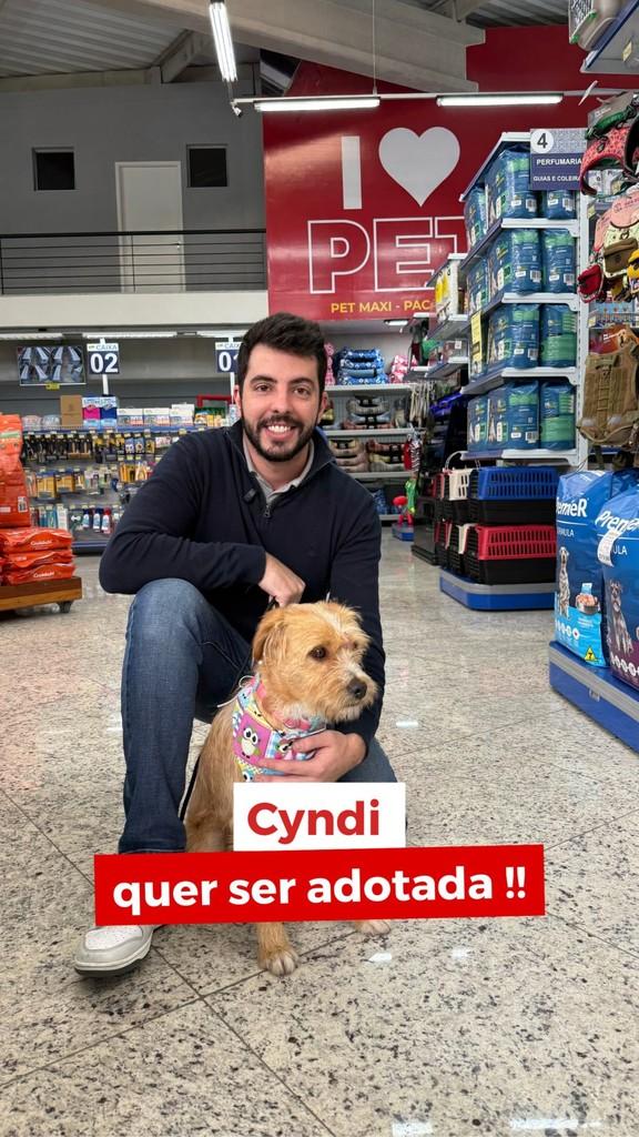 Garotona, cachorro de porte pequeno para adoção em São Paulo - SP