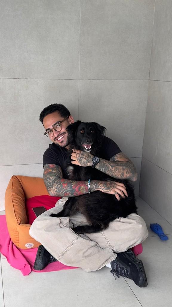 Sirius, cachorro de porte médio para adoção em São Paulo - SP