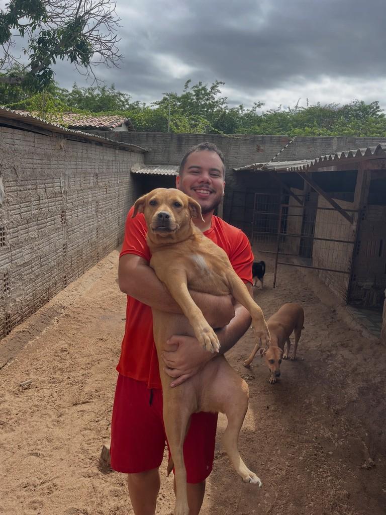 Zoe, cadela de porte médio para adoção em Mossoró - RN