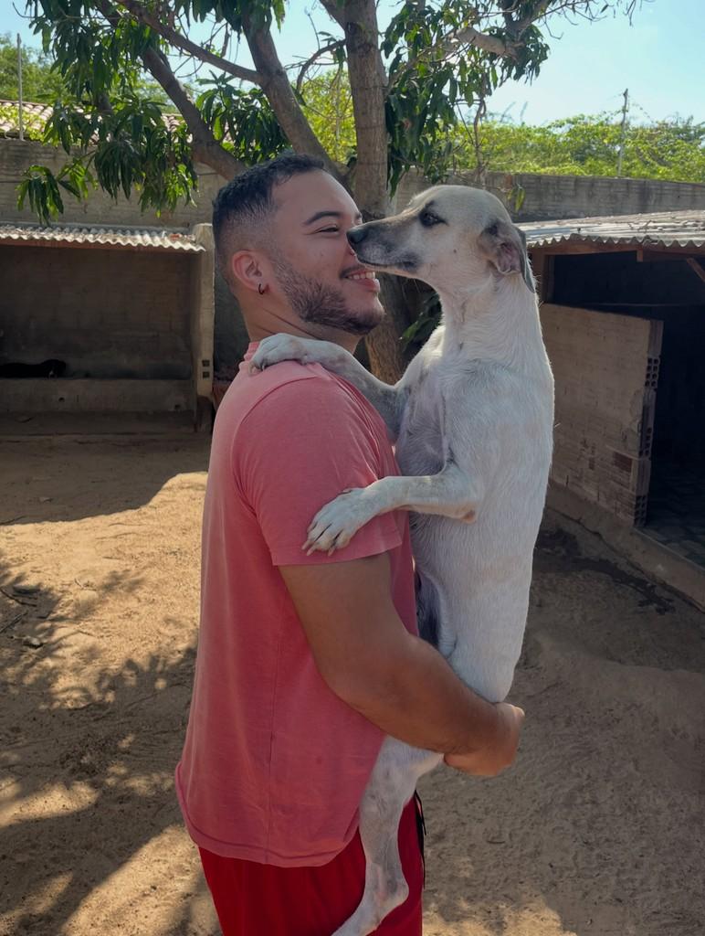 Renata, cadela de porte médio para adoção em Mossoró - RN