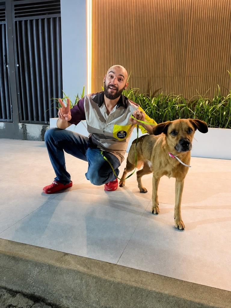 Noah, cachorro de porte médio para adoção em Natal - RN