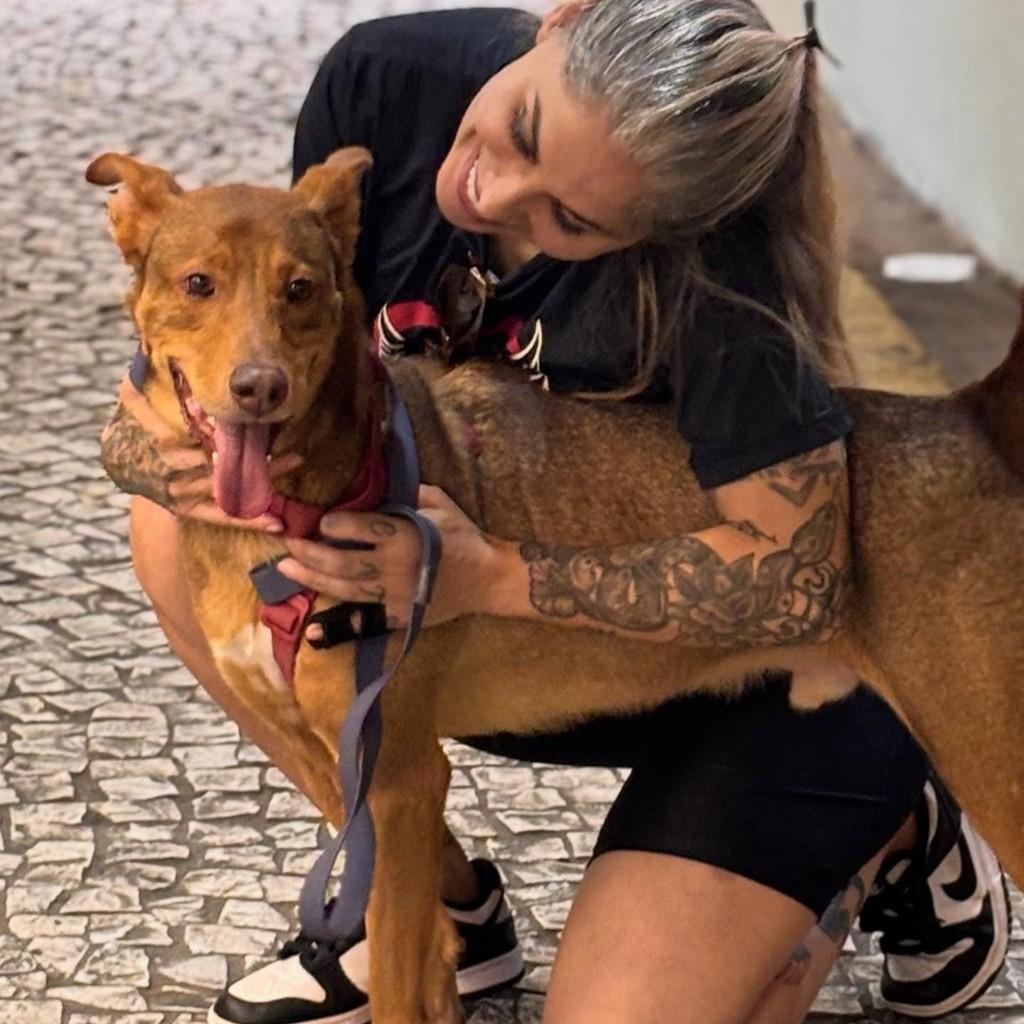 James, cachorro de porte médio para adoção em São Paulo - SP