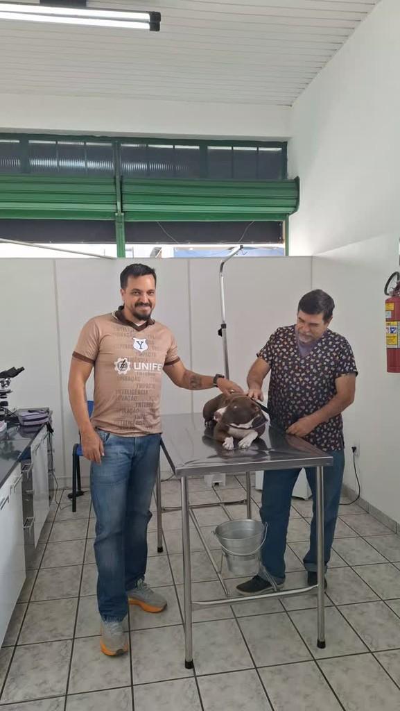 Fiona, cachorro de porte pequeno para adoção em Itajubá - MG