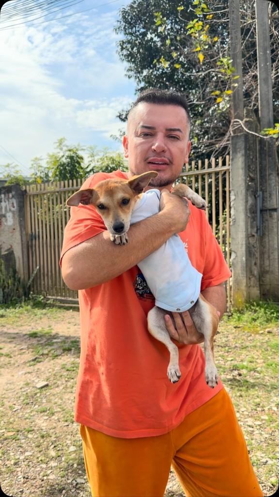 Maria, cadela de porte pequeno para adoção em Curitiba - PR