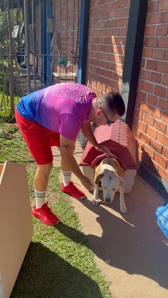 Albina, cadela de porte médio para adoção em Curitiba - PR