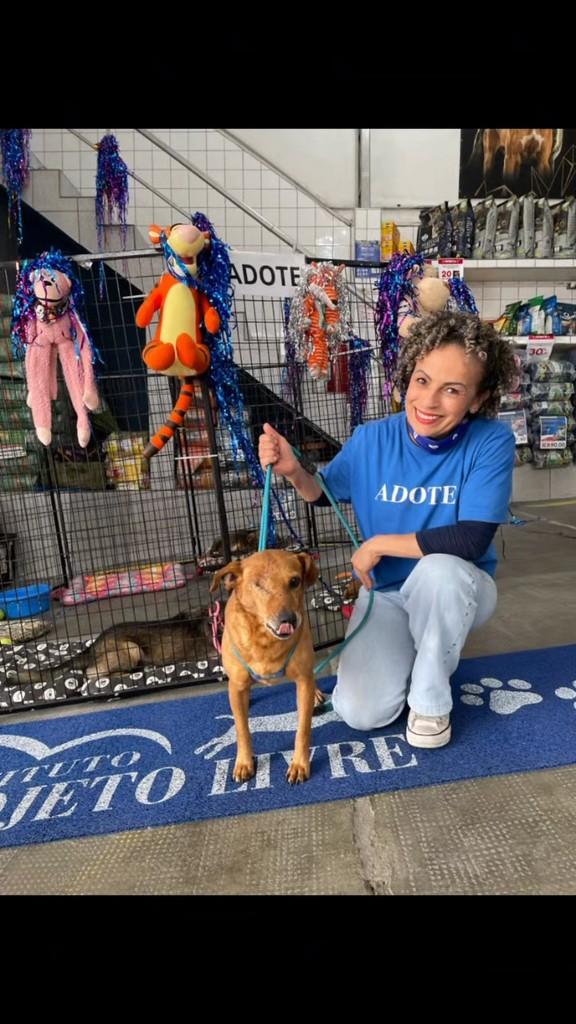 Pirata, cachorro de porte médio para adoção em São Paulo - SP