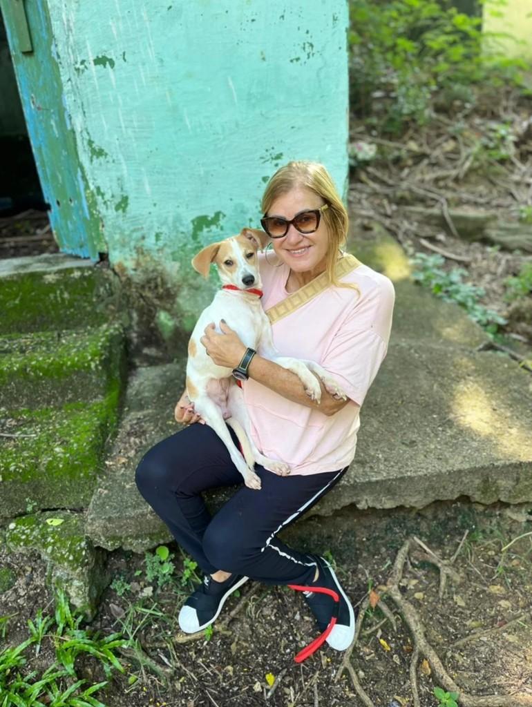 Gospel, cachorro de porte pequeno para adoção em Rio de Janeiro - RJ