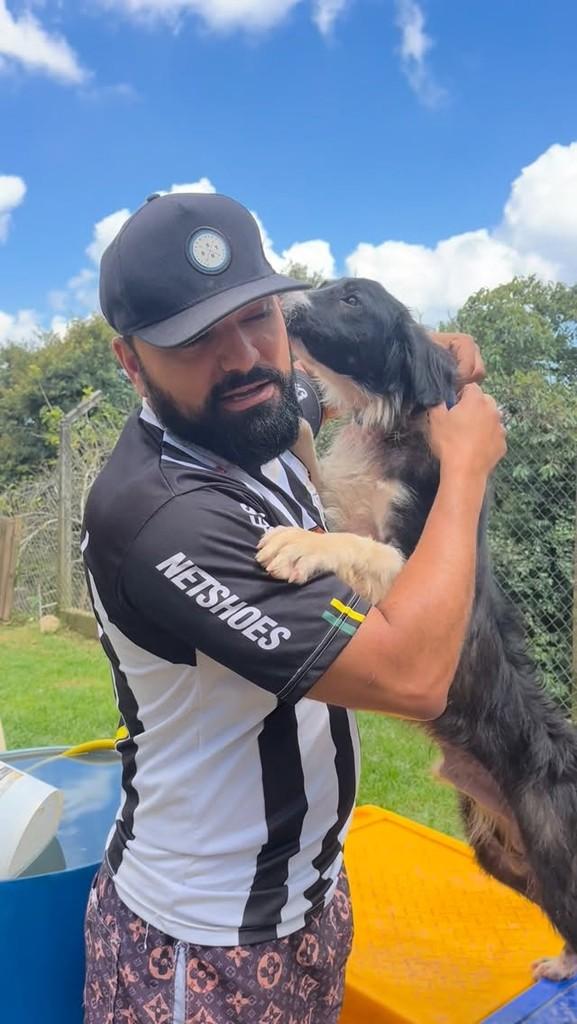 Tintim, cachorro de porte médio para adoção em São Paulo - SP