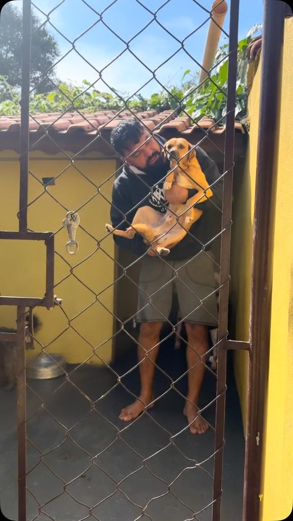 Batata, cachorro de porte pequeno para adoção em São Paulo - SP