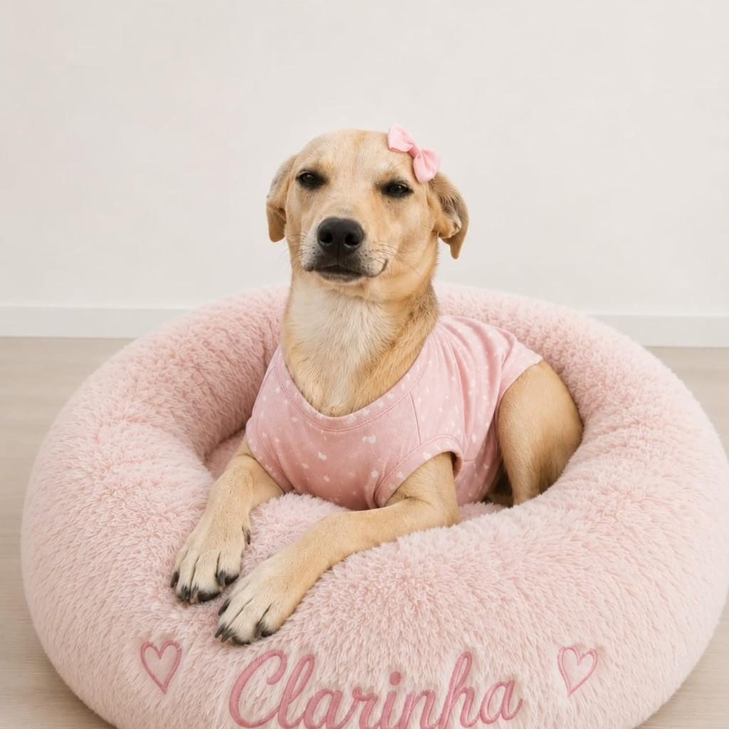Clarinha, cadela de porte médio para adoção em Cachoeirinha - RS