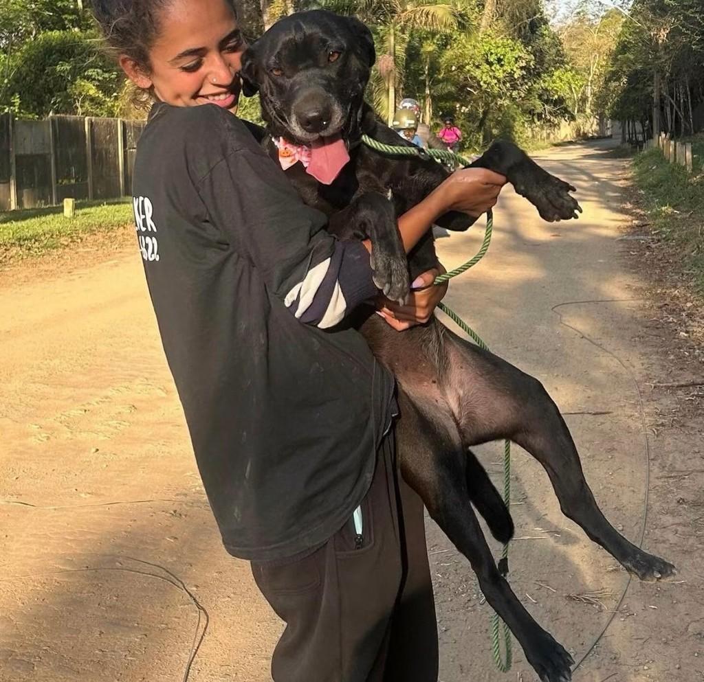 Hanna, cadela de porte médio para adoção em Cotia - SP