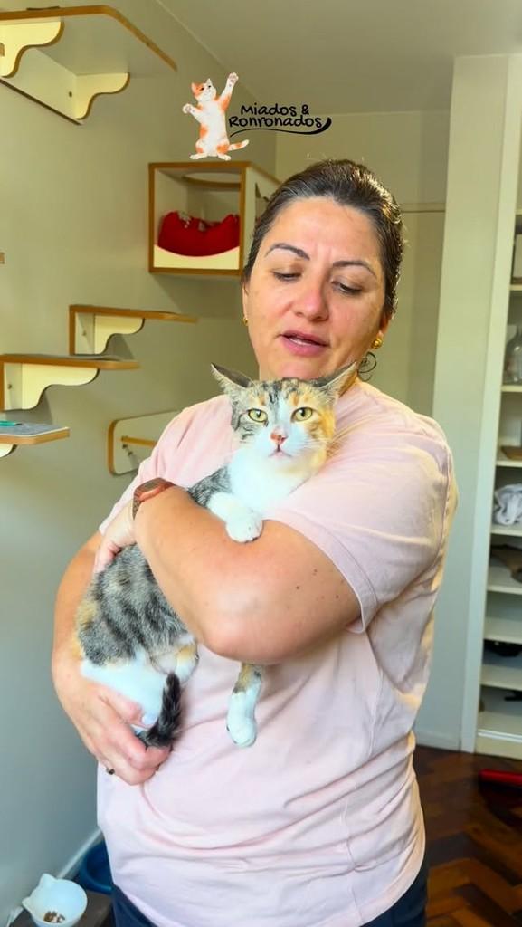 Juliette, gata para adoção em Brasília - DF