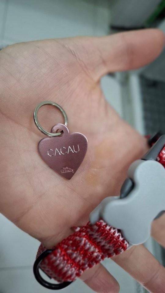 Cacau, cadela para adoção em Guarulhos - SP