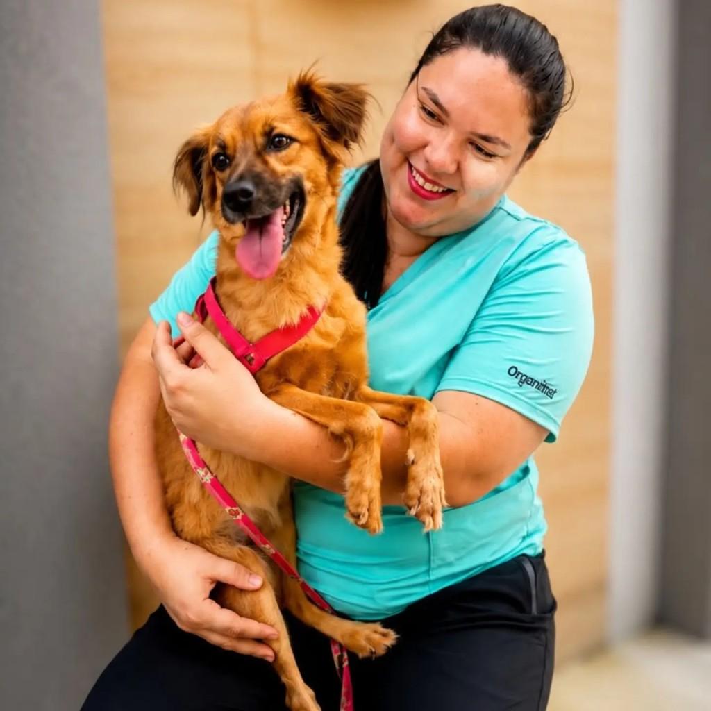 Julie, cadela de porte pequeno para adoção em Fortaleza - CE