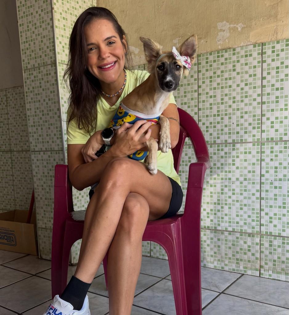Caju, cachorro de porte pequeno para adoção em Fortaleza - CE