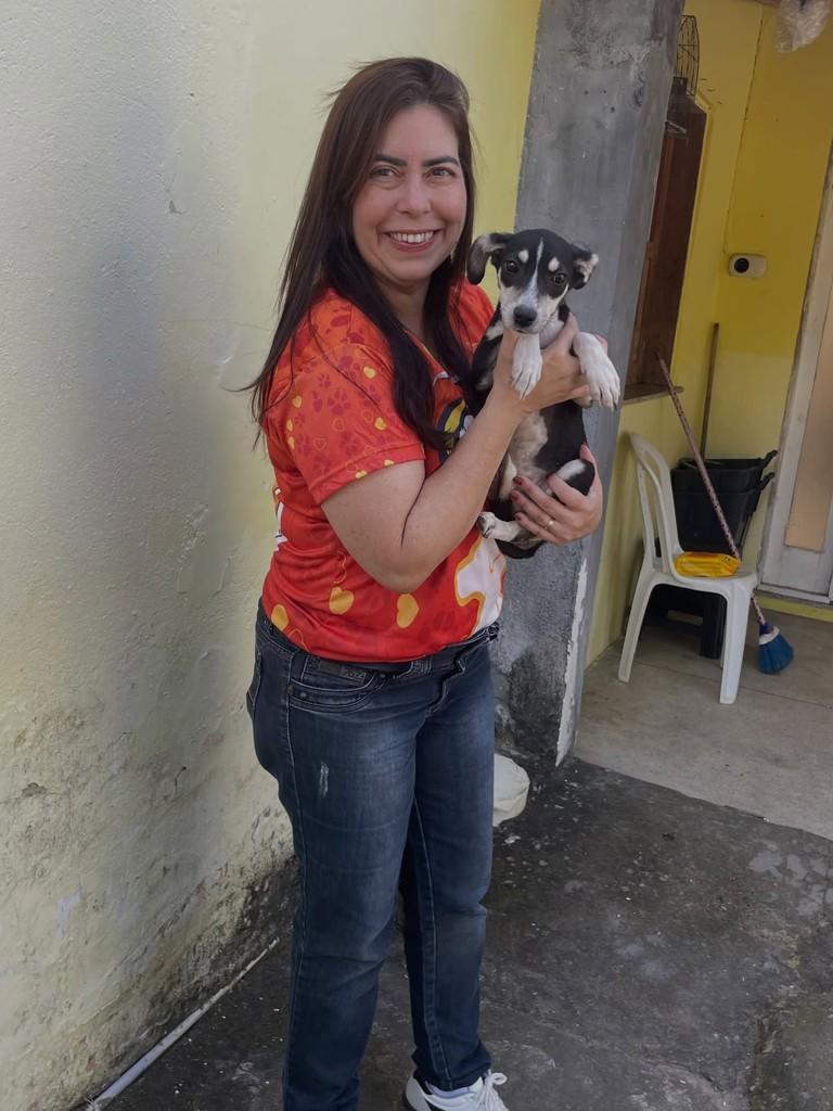Cachorrinha, cadela de porte pequeno para adoção em Jequié - BA