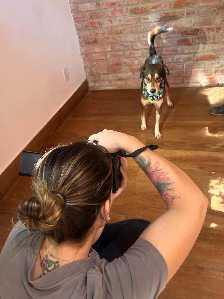 Papito, cachorro de porte pequeno para adoção em Rio de Janeiro - RJ