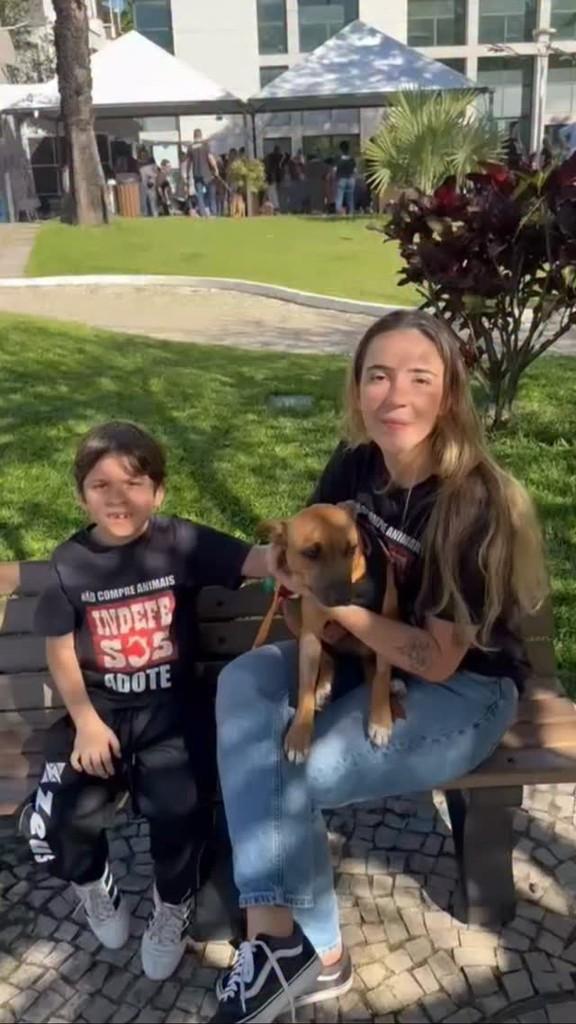 Bentinho, cachorro de porte pequeno para adoção em Rio de Janeiro - RJ