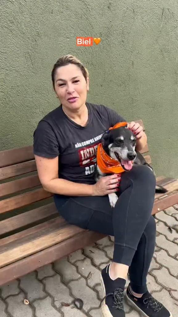 Biel, cachorro de porte médio para adoção em Rio de Janeiro - RJ