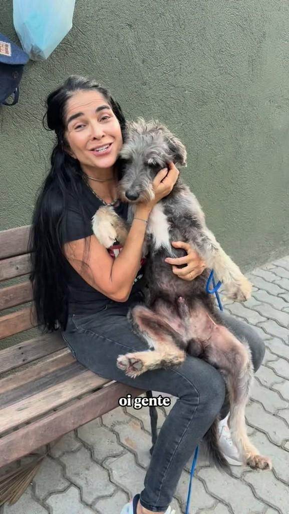 Milão, cachorro de porte médio para adoção em Rio de Janeiro - RJ