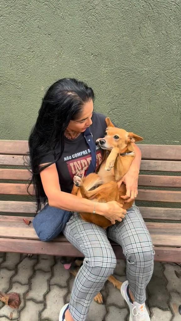 Mila, cachorro de porte pequeno para adoção em Rio de Janeiro - RJ