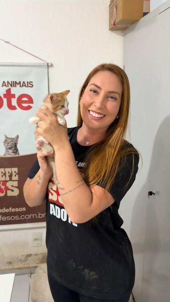 Nemo, gato de porte pequeno para adoção em Rio de Janeiro - RJ