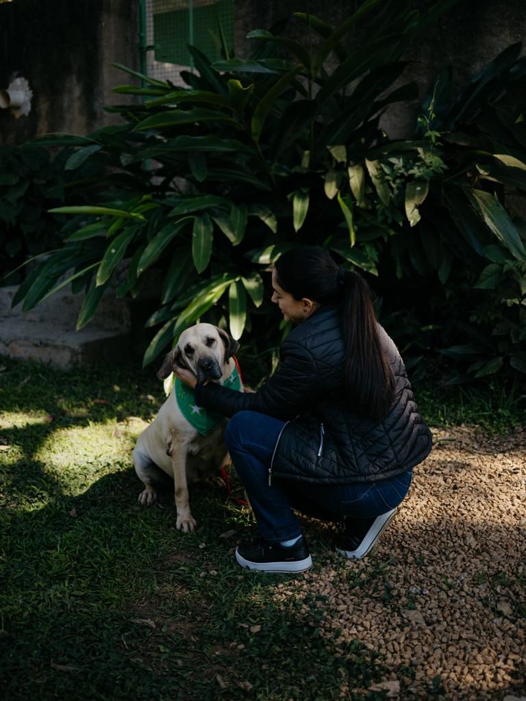 Lola, cadela de porte grande para adoção em Lavras - MG — foto 2 de 16