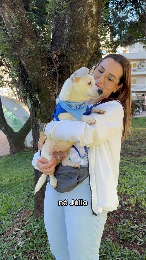Júlio, cachorro de porte pequeno para adoção em Marau - RS