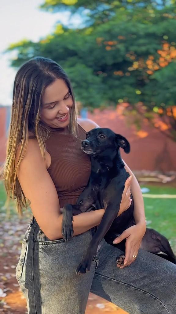 Pingo, cachorro de porte médio para adoção em Goiânia - GO