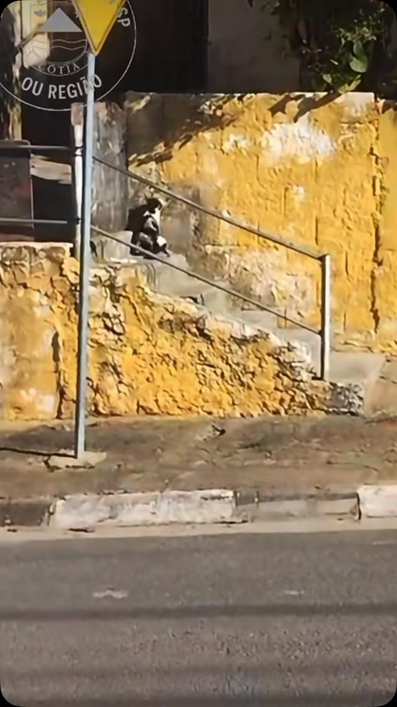 Romário, gato de porte pequeno para adoção em Vinhedo - SP