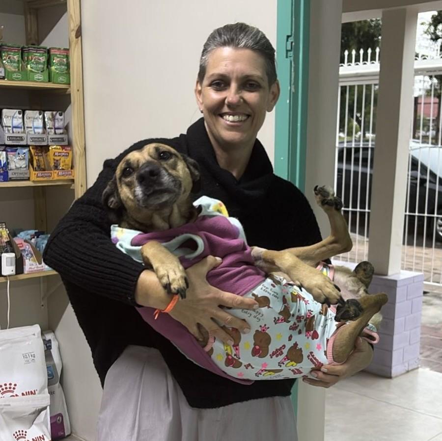 Luiza, cachorro de porte pequeno para adoção em Passo Fundo - RS