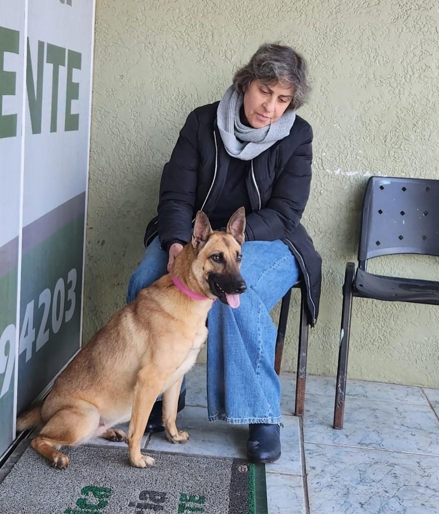 Penélope, cadela de porte médio para adoção em Osório - RS