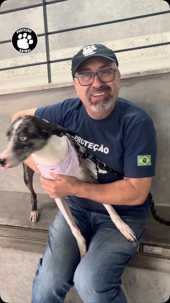 Pantera, cachorro de porte pequeno para adoção em São Paulo - SP