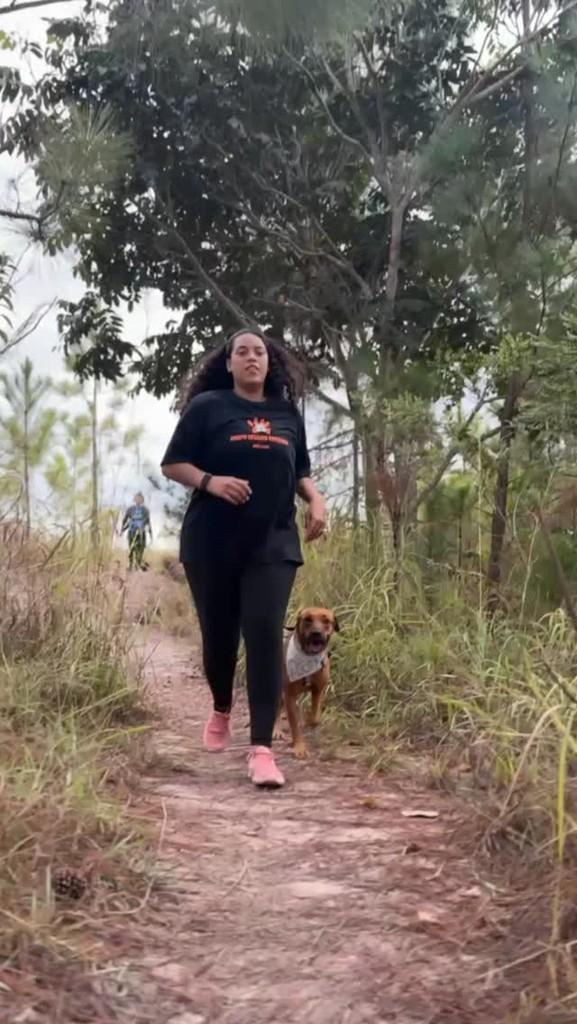 Bruninho, cachorro de porte médio para adoção em Brasília - DF