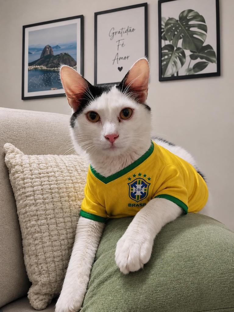 Fuji, gato de porte pequeno para adoção em São Paulo - SP