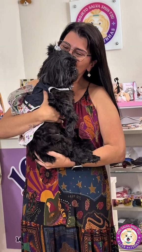 Hadassa, cachorro de porte pequeno para adoção em São Paulo - SP