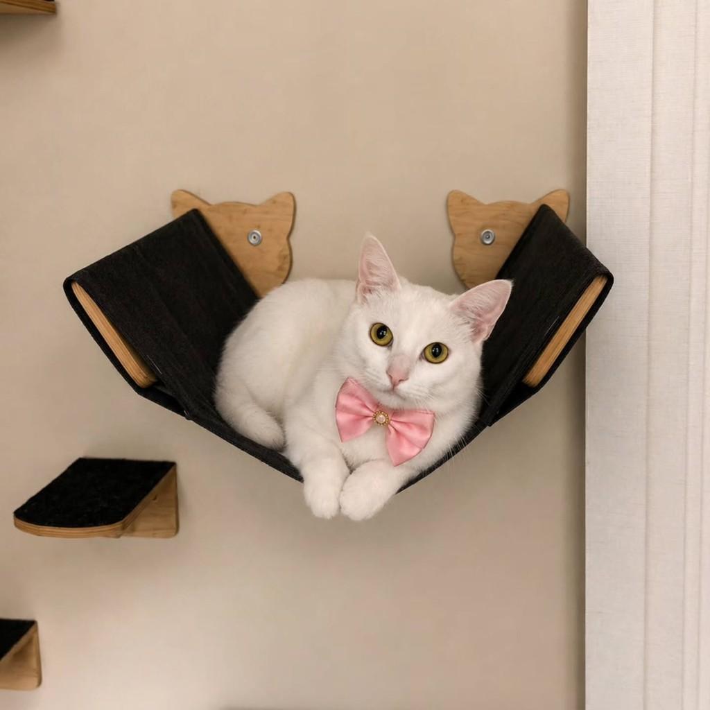 Cristal, gato de porte pequeno para adoção em São Paulo - SP