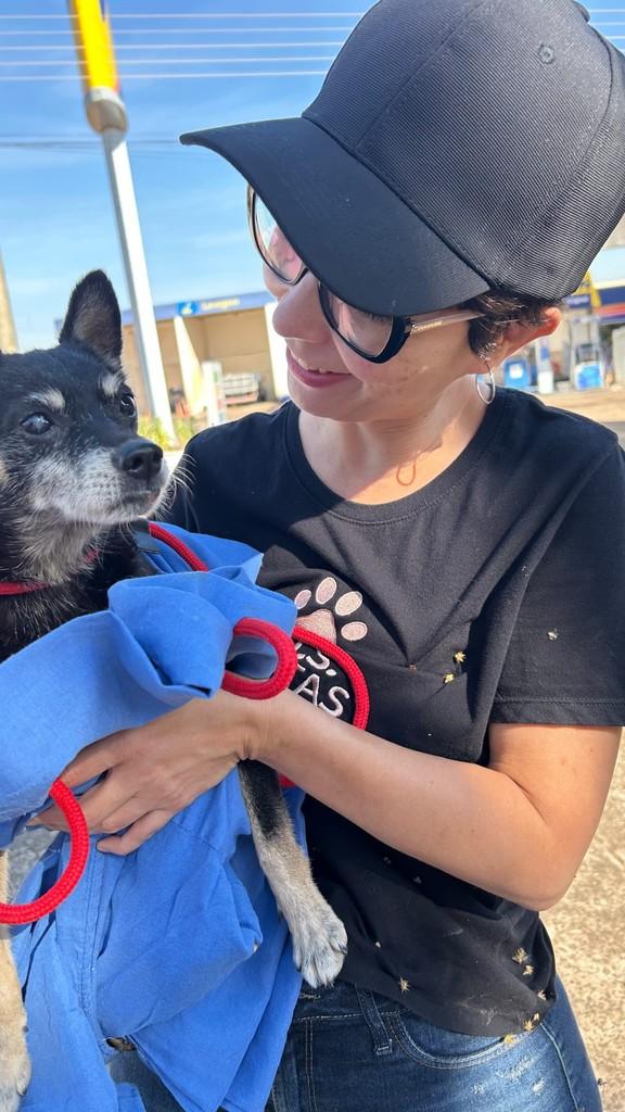 Pirulito, cachorro de porte pequeno para adoção em Urupês - SP
