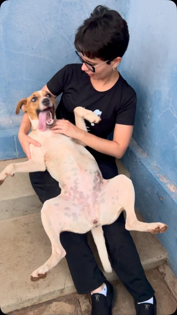 Matilda, cachorro de porte médio para adoção em Urupês - SP