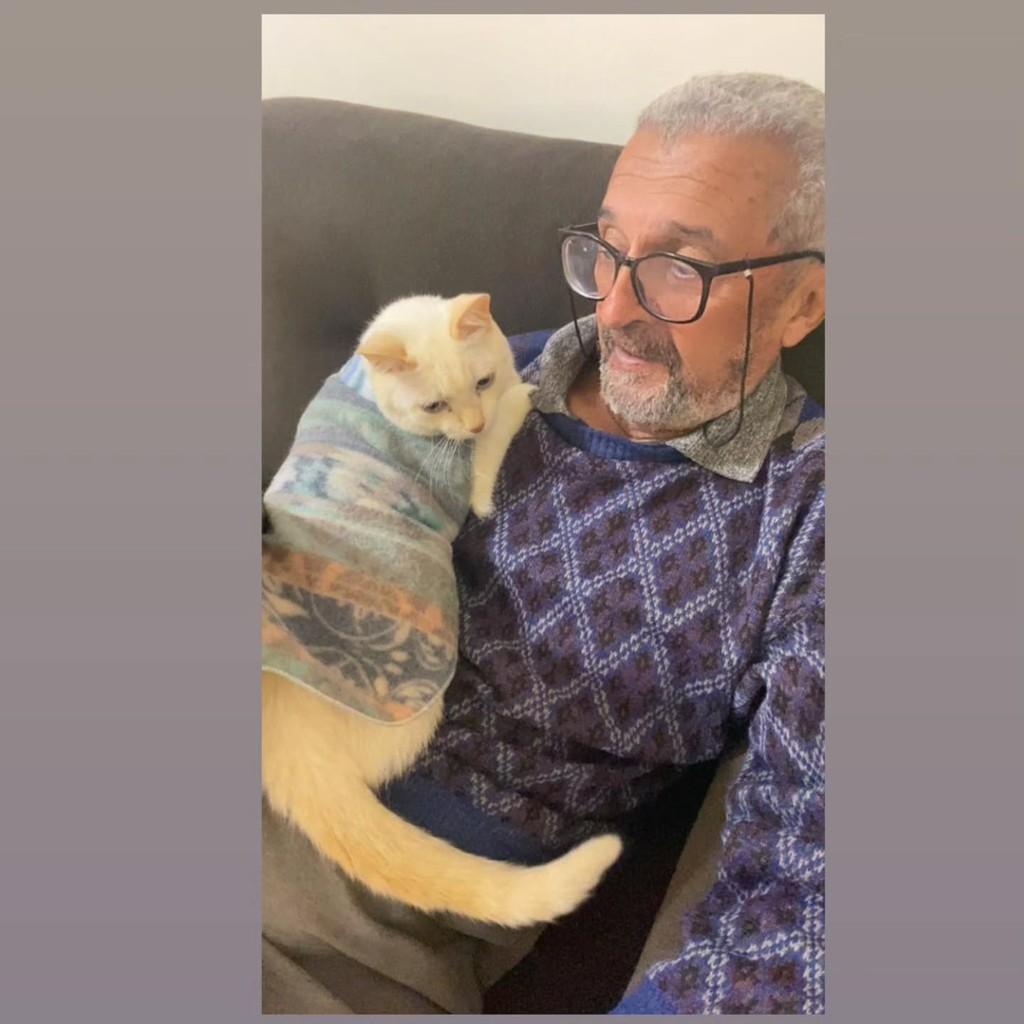 Branco, gato de porte pequeno para adoção em Mirassol - SP