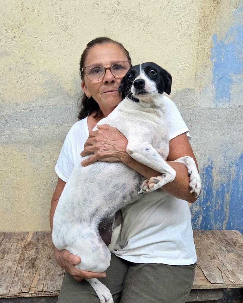 Branquinha, cadela de porte pequeno para adoção em Rio de Janeiro - RJ