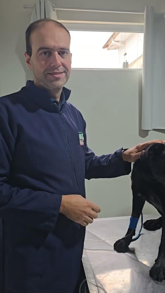 Oreo, cachorro de porte pequeno para adoção em Lorena - SP